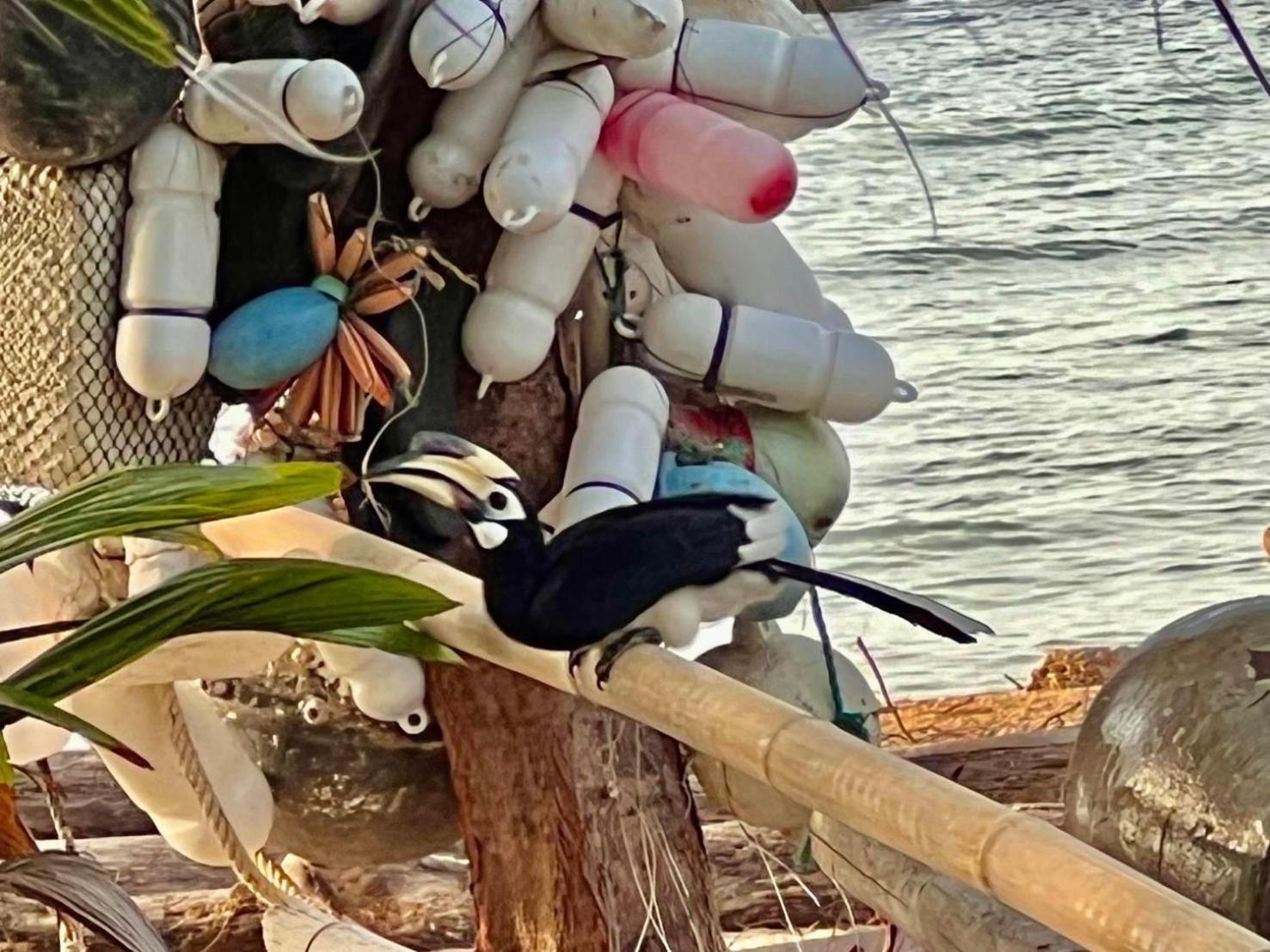Koh Phaluai Beach Bangalow Ban Ko Nok Taphao 외부 사진