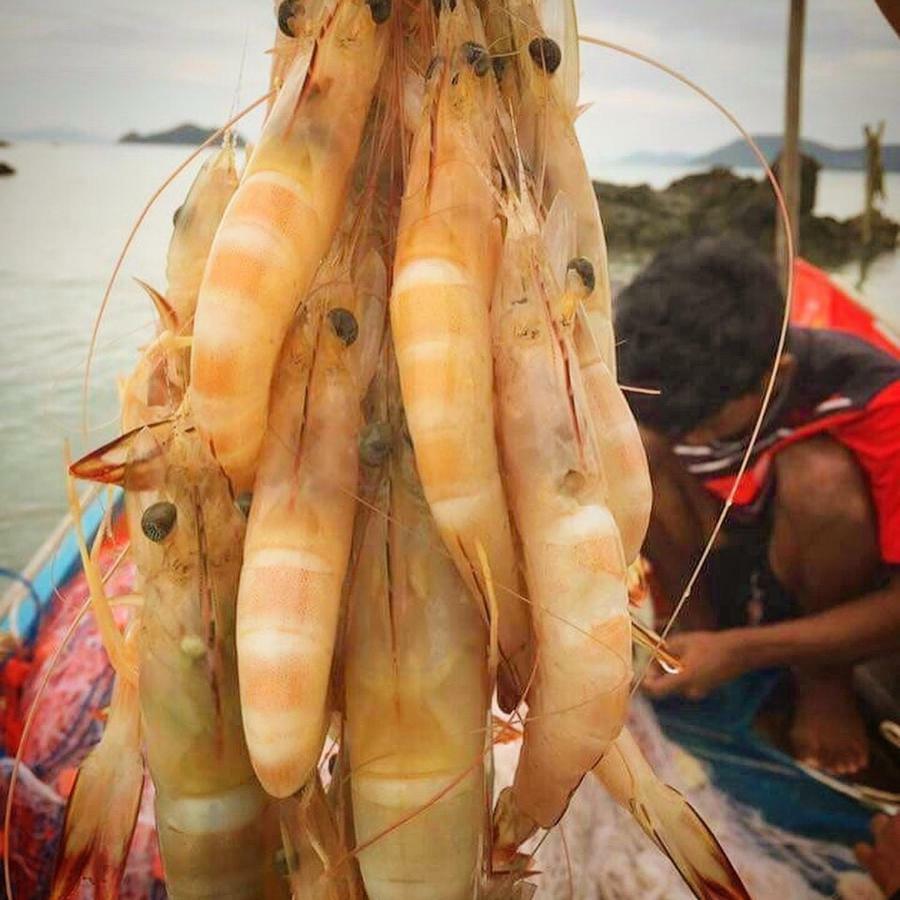 Koh Phaluai Beach Bangalow Ban Ko Nok Taphao 외부 사진